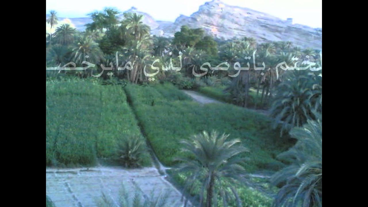 مساجله شعريه بين محمدالحميقاني ونبيل الجرهومي