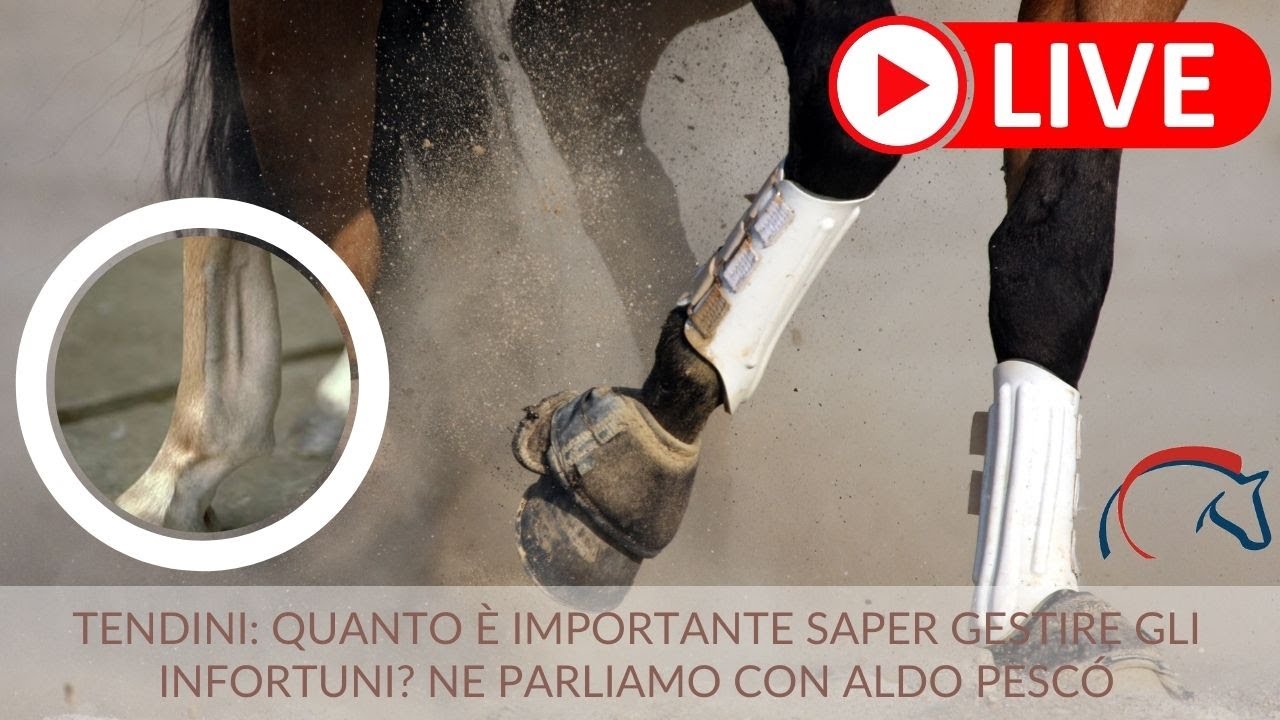 Le tendiniti: perché sono così comuni e come si curano