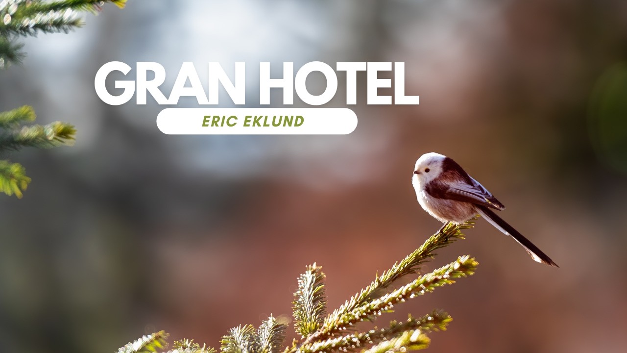 Gran Hotel