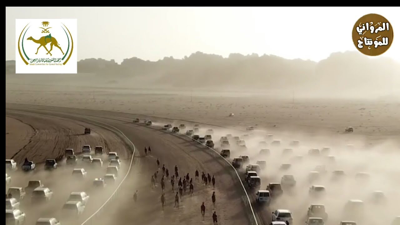 الشوط الرئيسي على الرمز (درع هجن النايفات) في ميدان الهجن الأصايل بمحافظة العلا 2018 HD