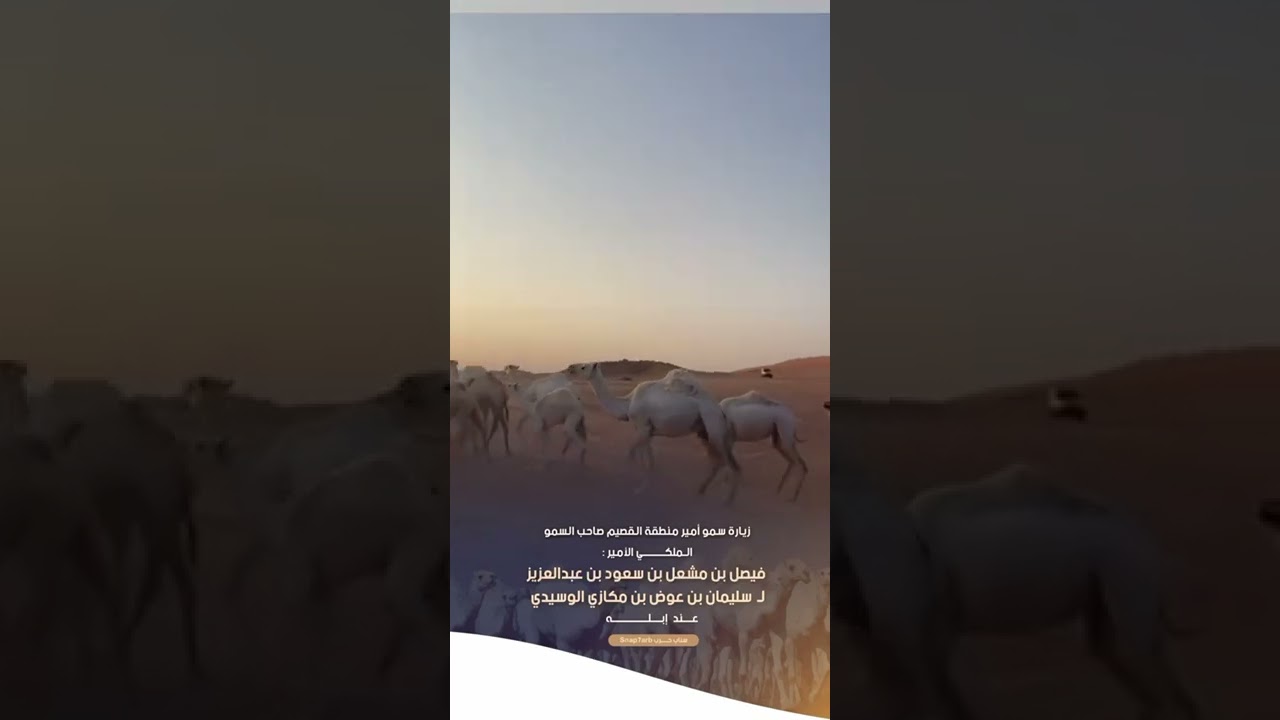 زيارة سمو امير منطقة القصيم صاحب سمو المكلي الامير فيصل بن مشعل ال سعود ل سليمان بن مكازي الحربي