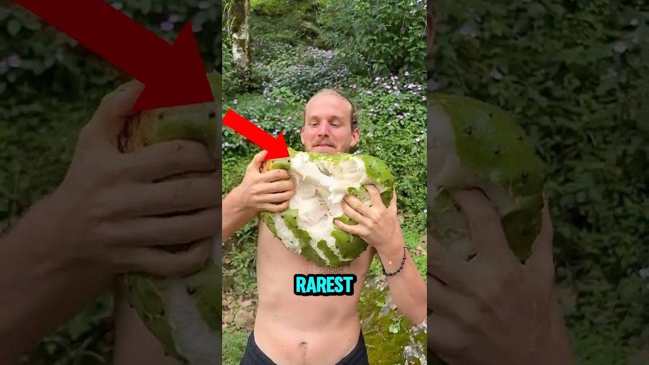 世界で最も珍しくて美味しいフルーツ トップ 5!😍🥰