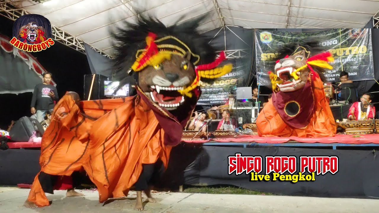Atraksi Barongan Galak Ngamuk! Barongan Singo Rogo Putro live Pengkol Penawangan | BarongBoys