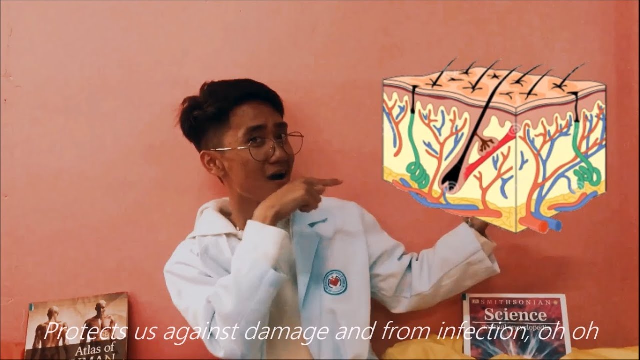 Integumentary System Song