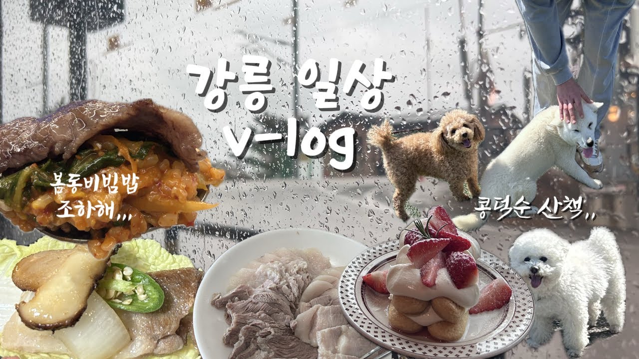 강릉 일상 v-log / 안목바다식당 / 나의하루 / 정남미명과 / 이츠모라멘 / 입암메밀타운 / 강릉맛집 / 정동진카페 🐷