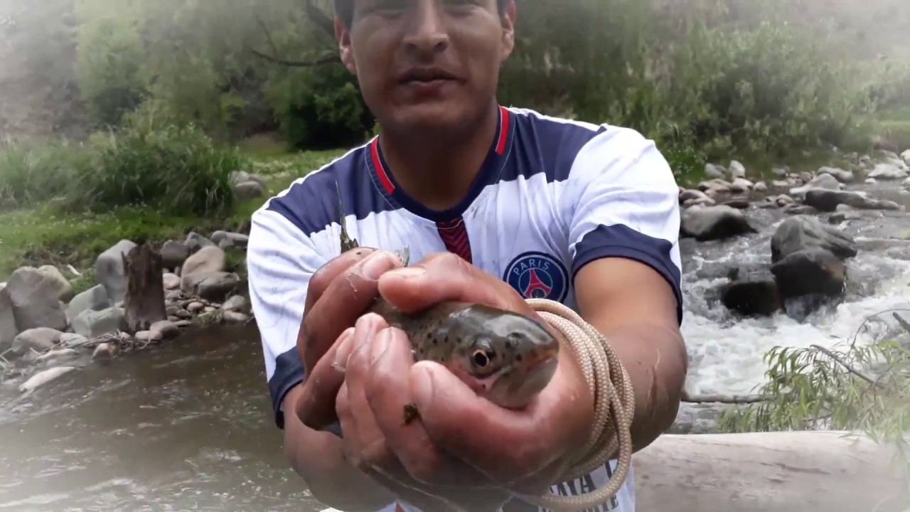 Pesca de truchas en Ri&oacute; con Atarraya -  Pesca en R&iacute;os
