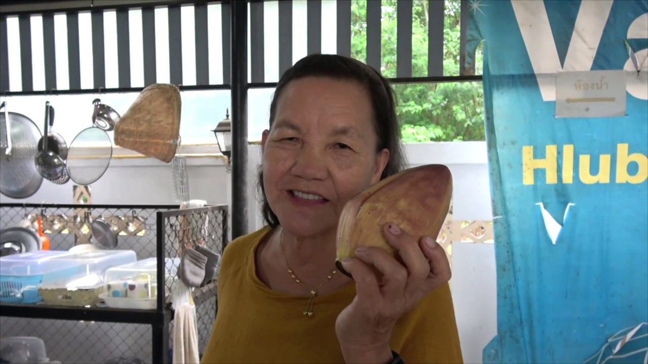 Taisnruag Hau Tsawb Noj | Nruag Hawj