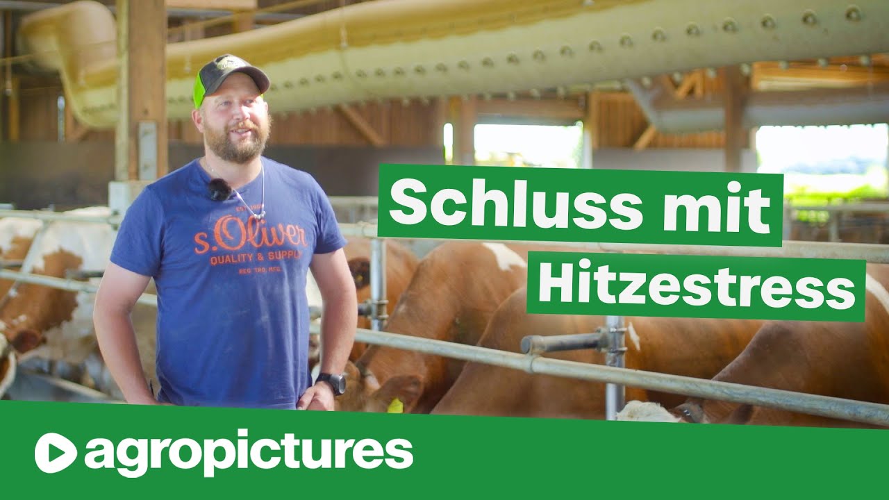 Frische Luft im Kuhstall mit Schlauchbelüftung von Dr. Knopf & Oswald | Betrieb Eder in Salzburg