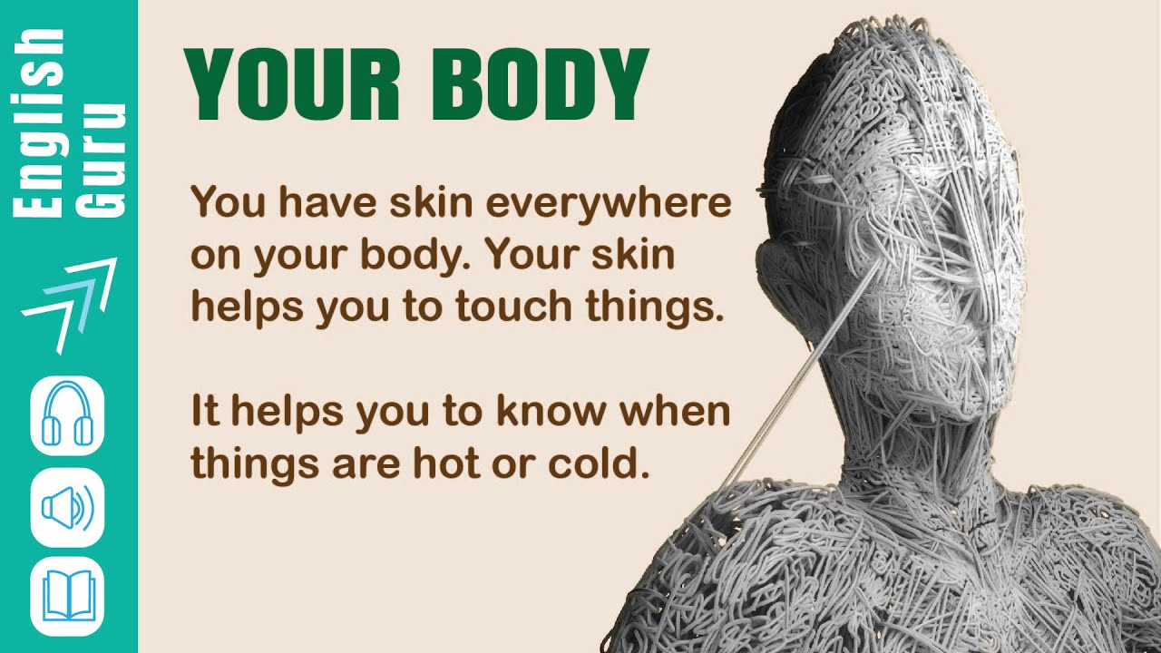 Learn English Through Story| Practice English Listening| Your Body| Beginner Level