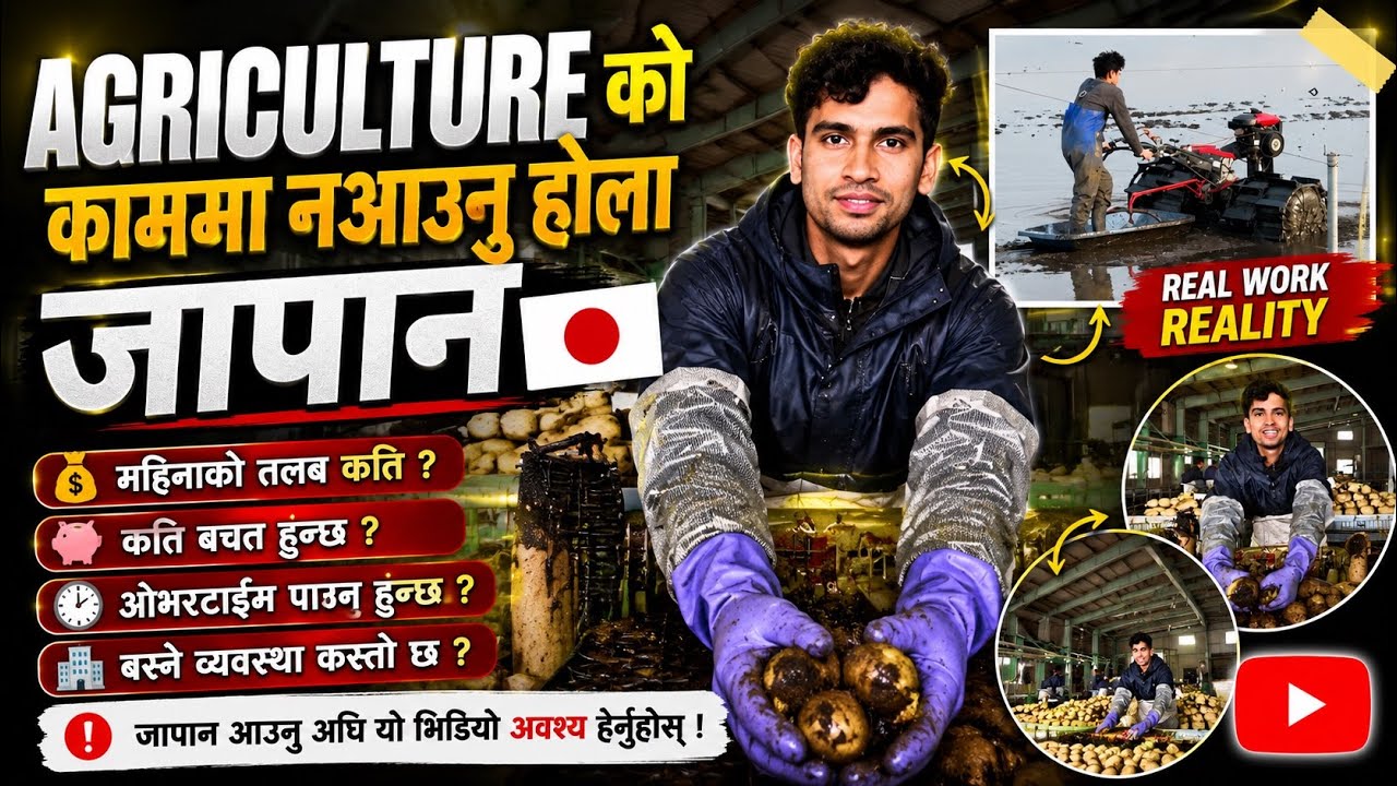 बुझेर मात्रै आउनु होला नत्र पछुताउनु पर्ला || SSW AGRICULTURE WORK IN JAPAN 🇯🇵| ​⁠@sarojbasnet777