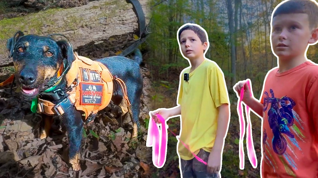 Jesse the Deer Tracking Dog Gets Some Help