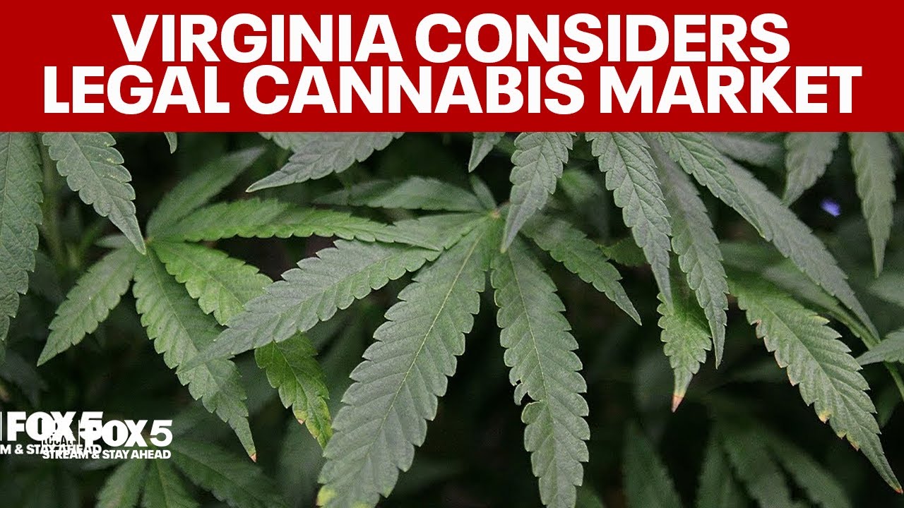 Virginia rolling out plans for legal cannabis market
