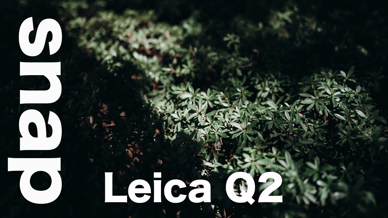 Leica Q2でsnap撮ってきたら良すぎた