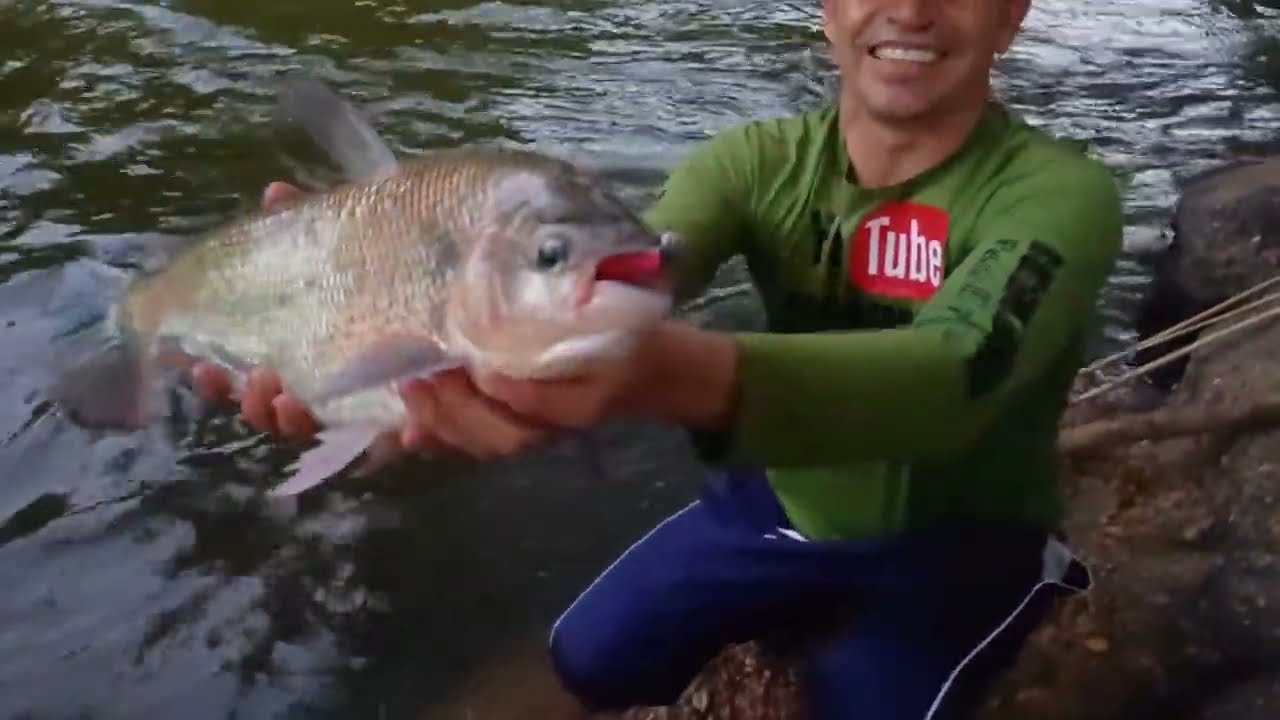 Pescaria no rio,  Mini JIG HEAD primeiro arremesso #pescaria #pesca 