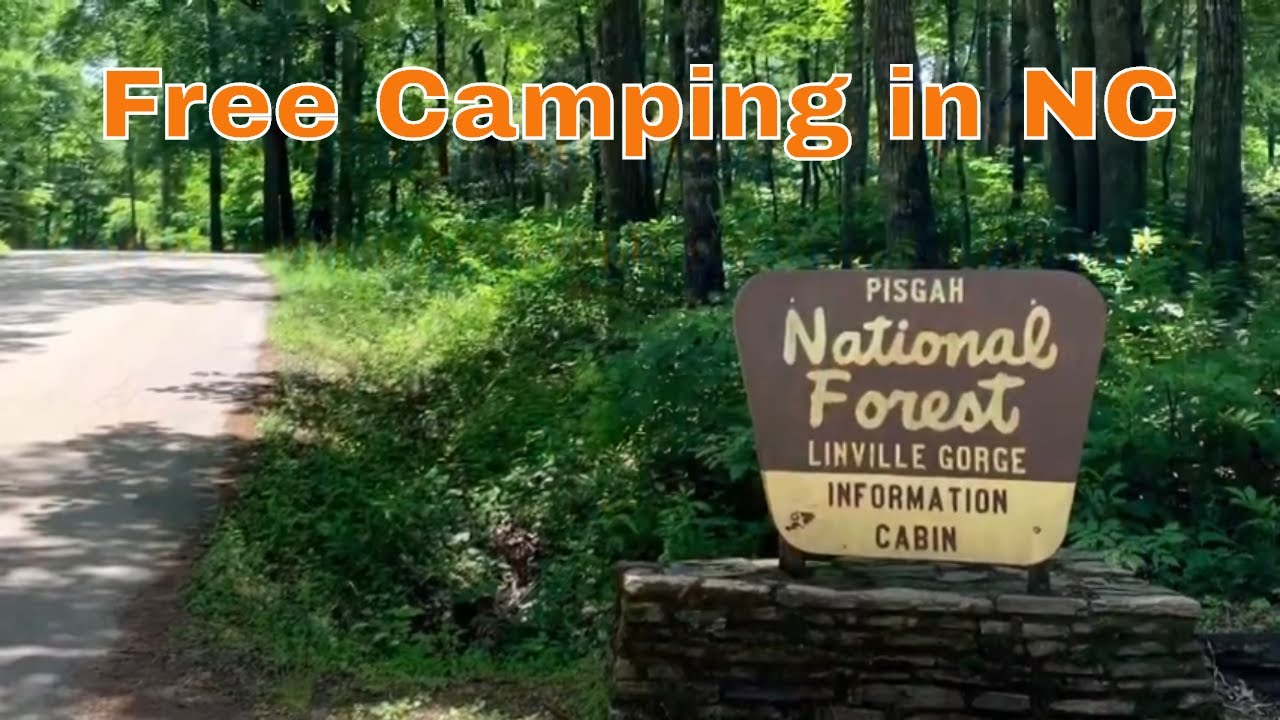 Бесплатный кемпинг в Северной Каролине по адресу Old NC 105, Pisgah NF, NC