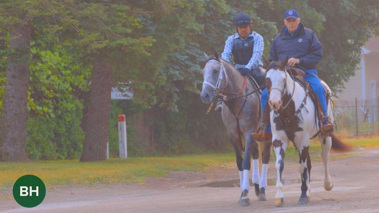 3 Things You Might Not Know About: Seize the Grey