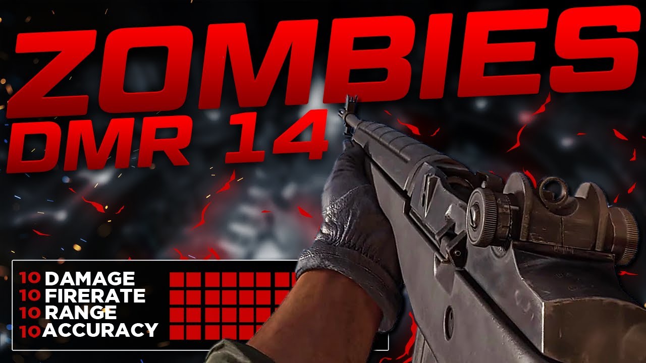 The BEST Zombies "DMR 14" Loadout 😱 Call of Duty Black Ops Cold War Zombies (BEST CLASS SETUP)