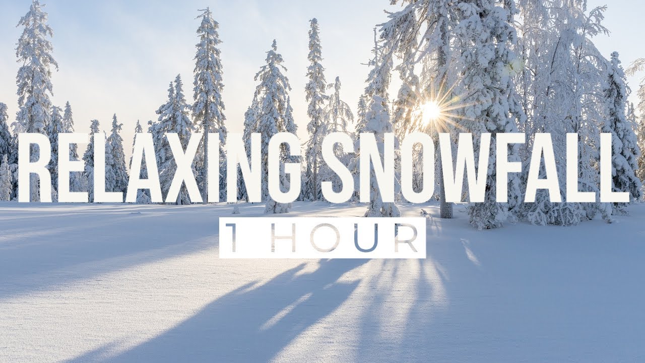 Relaxing Forest Snowfall 1 Hour | Soothing Background Nature Sounds