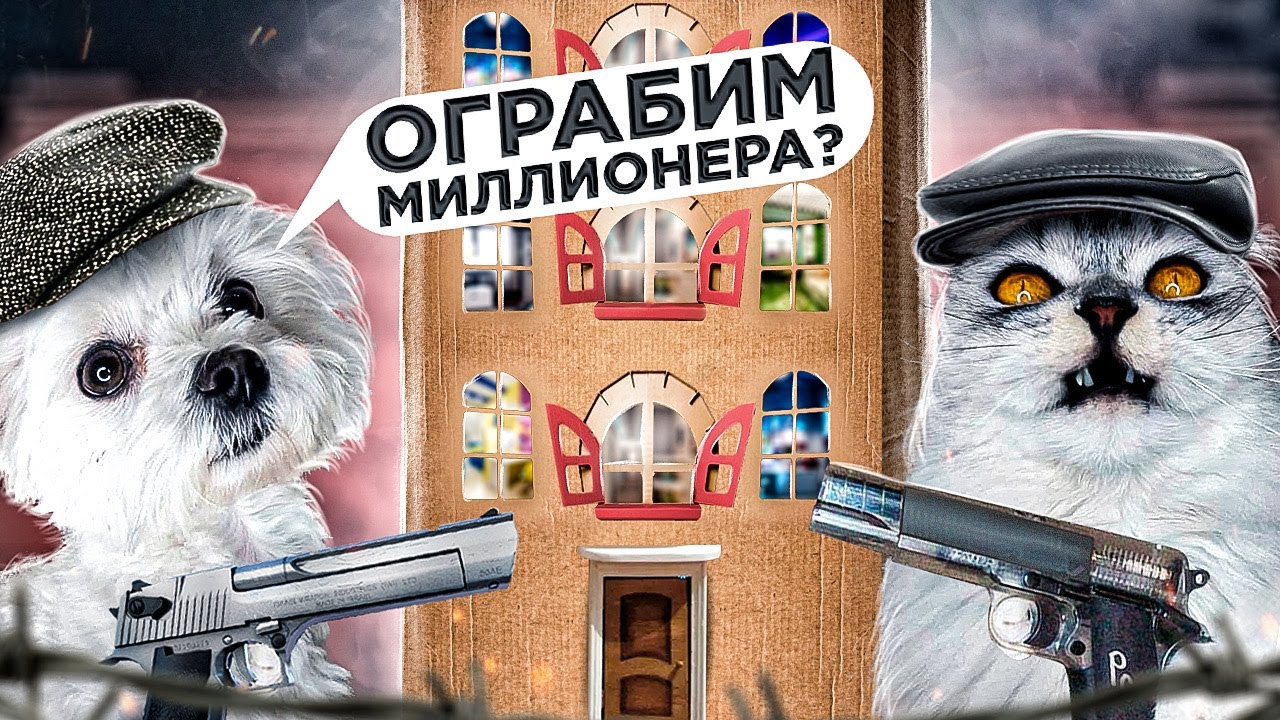 ПРОНИКЛИ В КАРТОННЫЙ ДОМ МИЛЛИОНЕРА