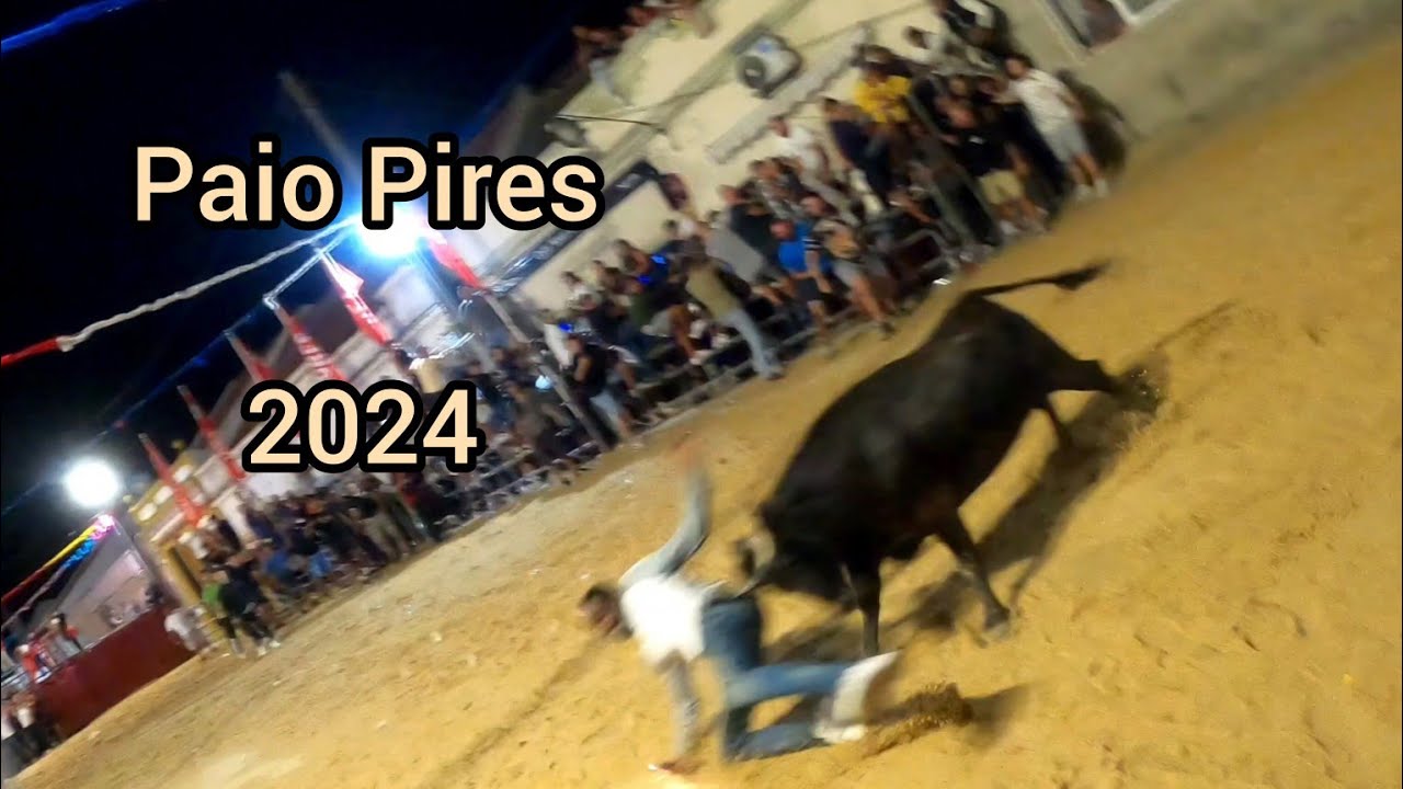 Largadas de Touros Paio Pires 2024