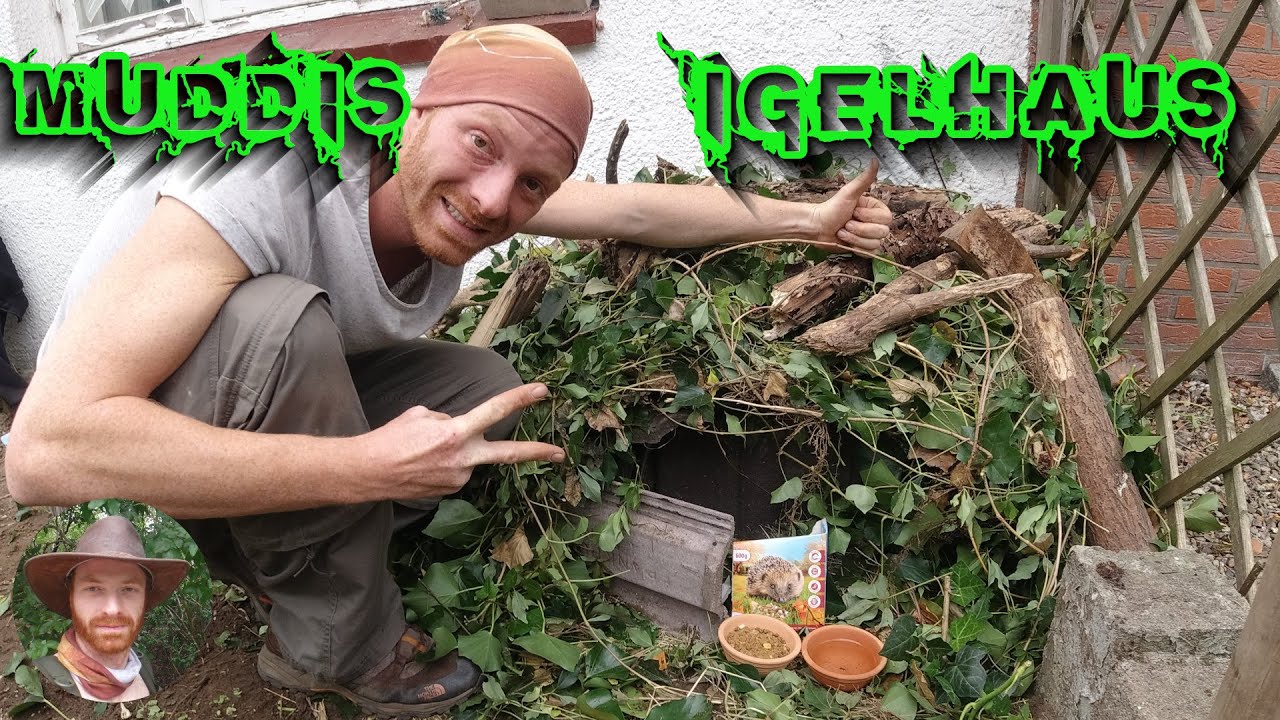 Wir bauen ein Igel-Haus