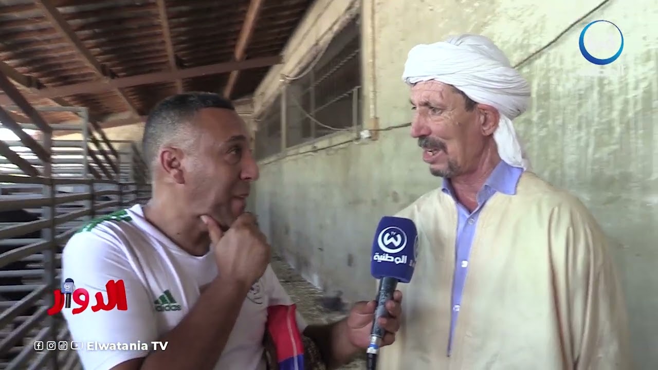 عمي النوري..  العود نبيعوه في بعض الأحيان حتى بـ 200 مليون