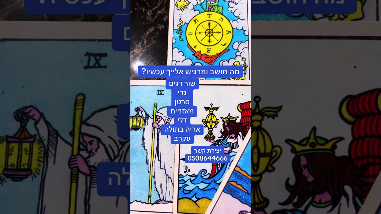 מה הוא חושב מרגיש עכשיו ?🤷‍♀️🤩ורד ייעוץ אישי רוחני 0508644666 לקביעת פגישה אישית ❤️