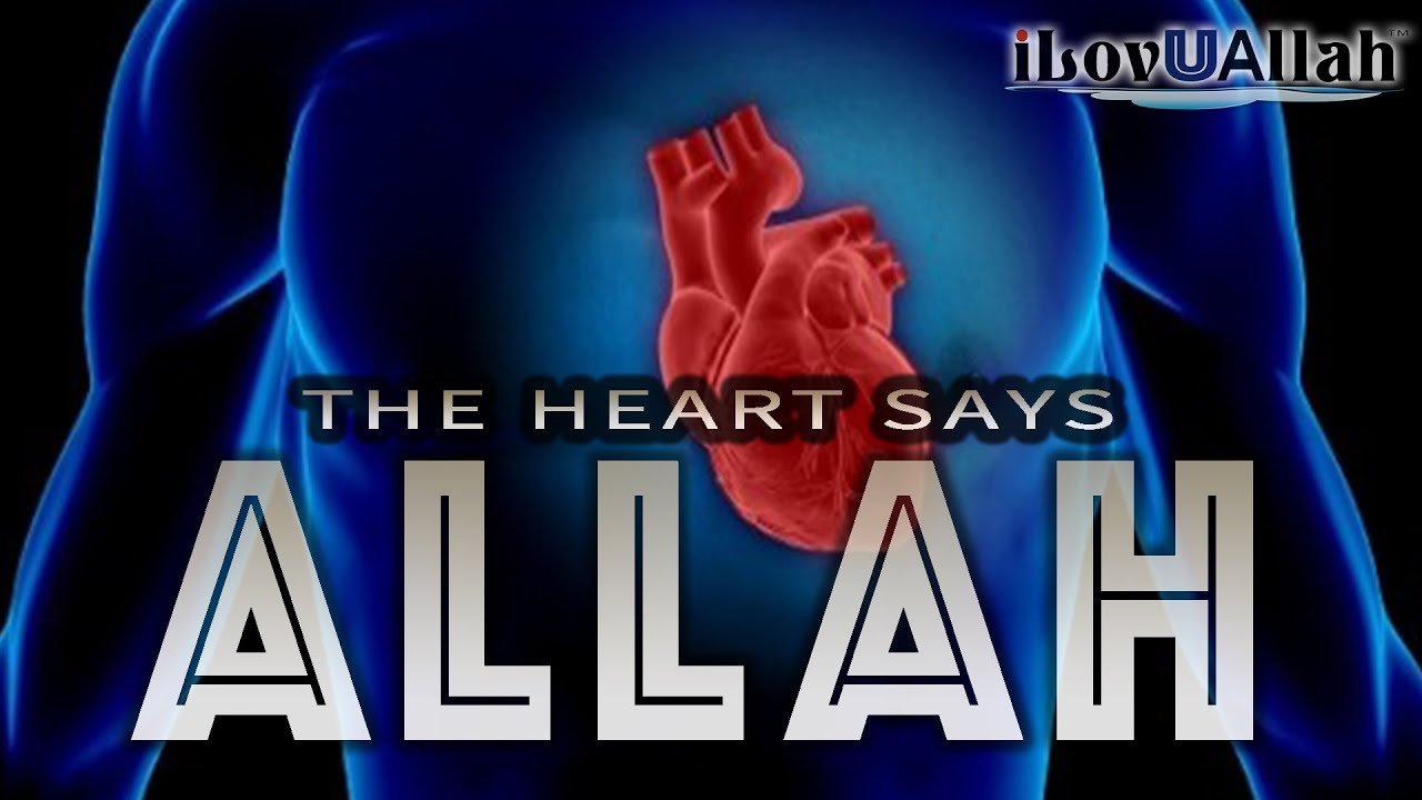 The Heart Says Allah | *Miracle Of Allah*