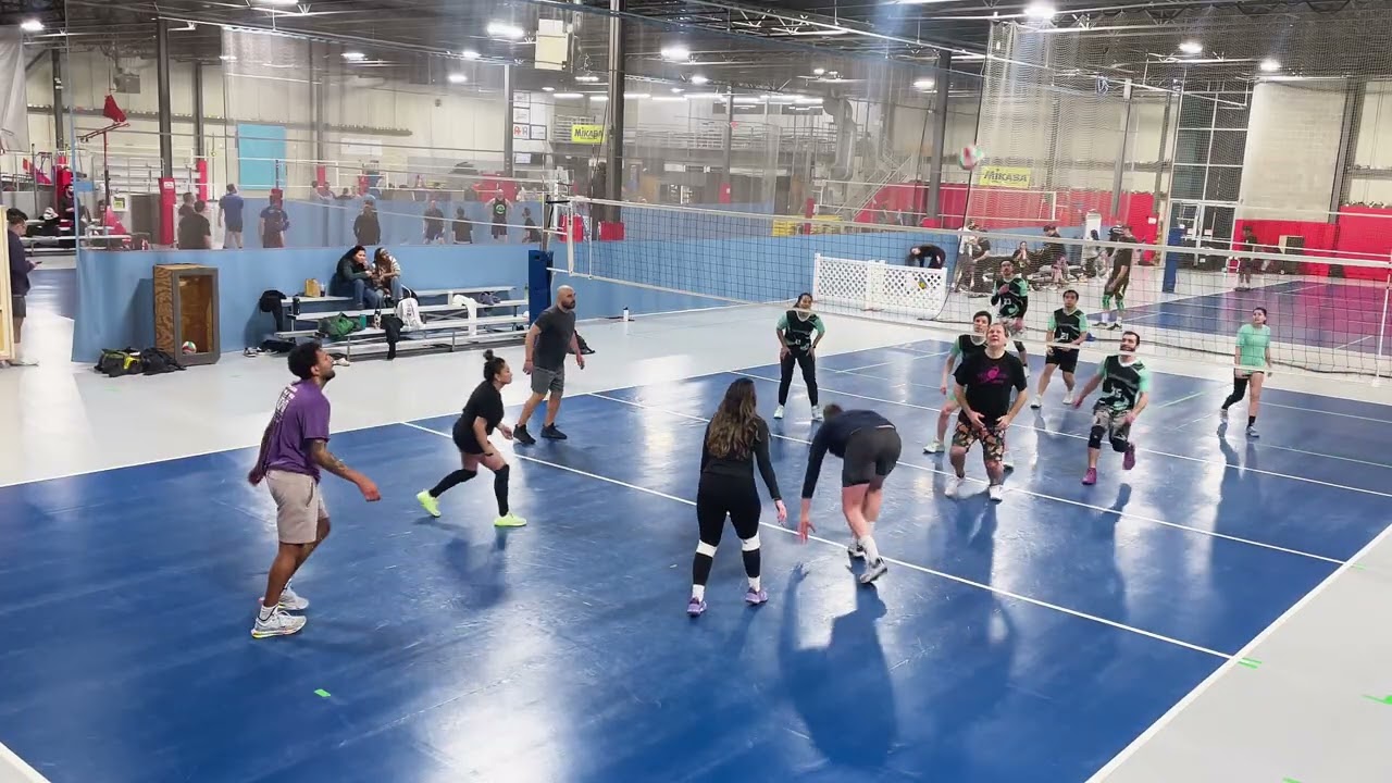 cedar 2-18-26