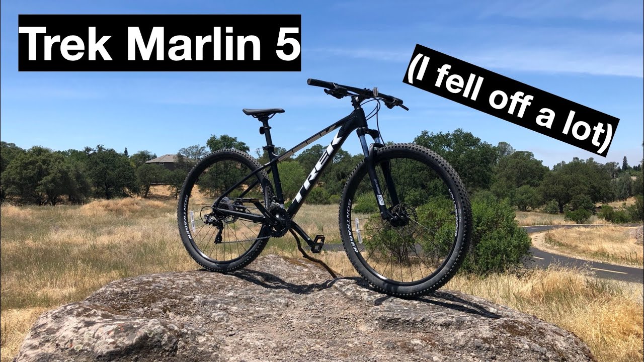 Trek Marlin 5 vs Easy/Intermediate Trail!! How'd it do?
