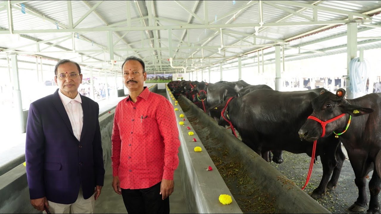 NEW DAIRY FARM OPENING CEREMONY @sriviswasanthischool