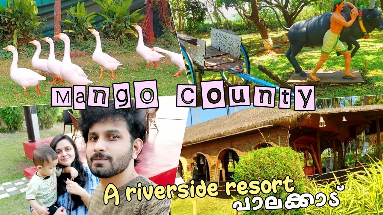 Mango County Resort at Palakkad | Travel Vlog Malayalam | Resorts in Kerala | Kerala Resorts Vlog