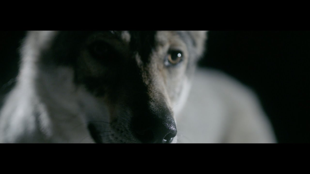 Cold Black - Circles (Music Video)