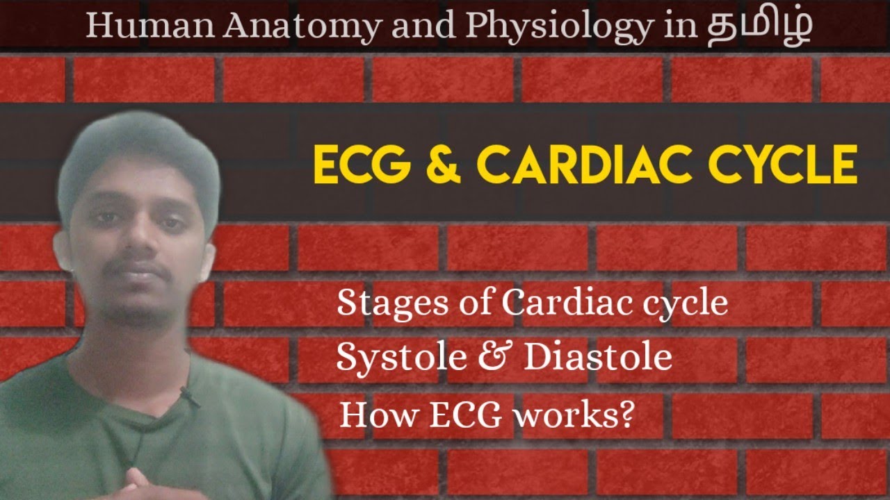 #11 ECG and Cardiac Cycle in தமிழ்