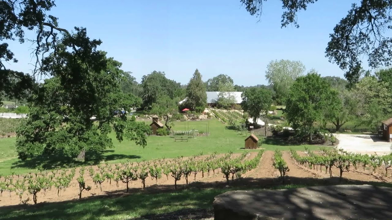 Young's Vineyard and Winery For Sale