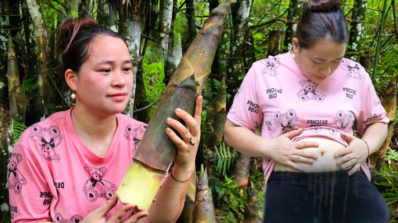 Harvesting Bamboo Shoots ( Fruit ) Cooking, Gardening, Daily Life, Farm - Ly Thi Ca is Pregnant