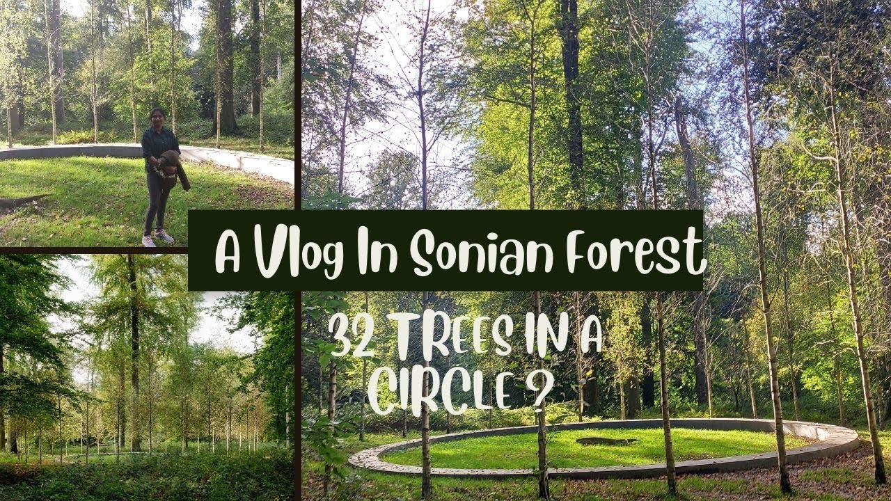 A Vlog In Sonian Forest | La Forêt de Soignes  |  32 Trees in a circle ? |  Sarani’s Vlog🦚