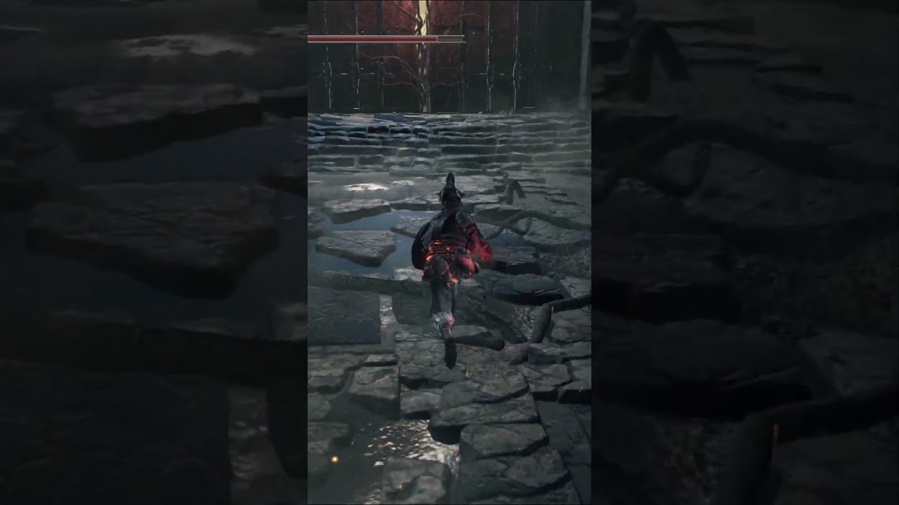 Я так и предсказал! #darksouls3 #ds3 #fromsoftware #randomizer #randomizerrun #bossfight #predict...