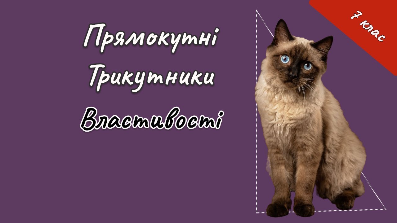 7 клас - Властивості прямокутного трикутника
