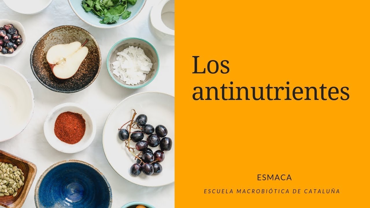Qué son los antinutrientes y cómo cocinar para eliminarlos