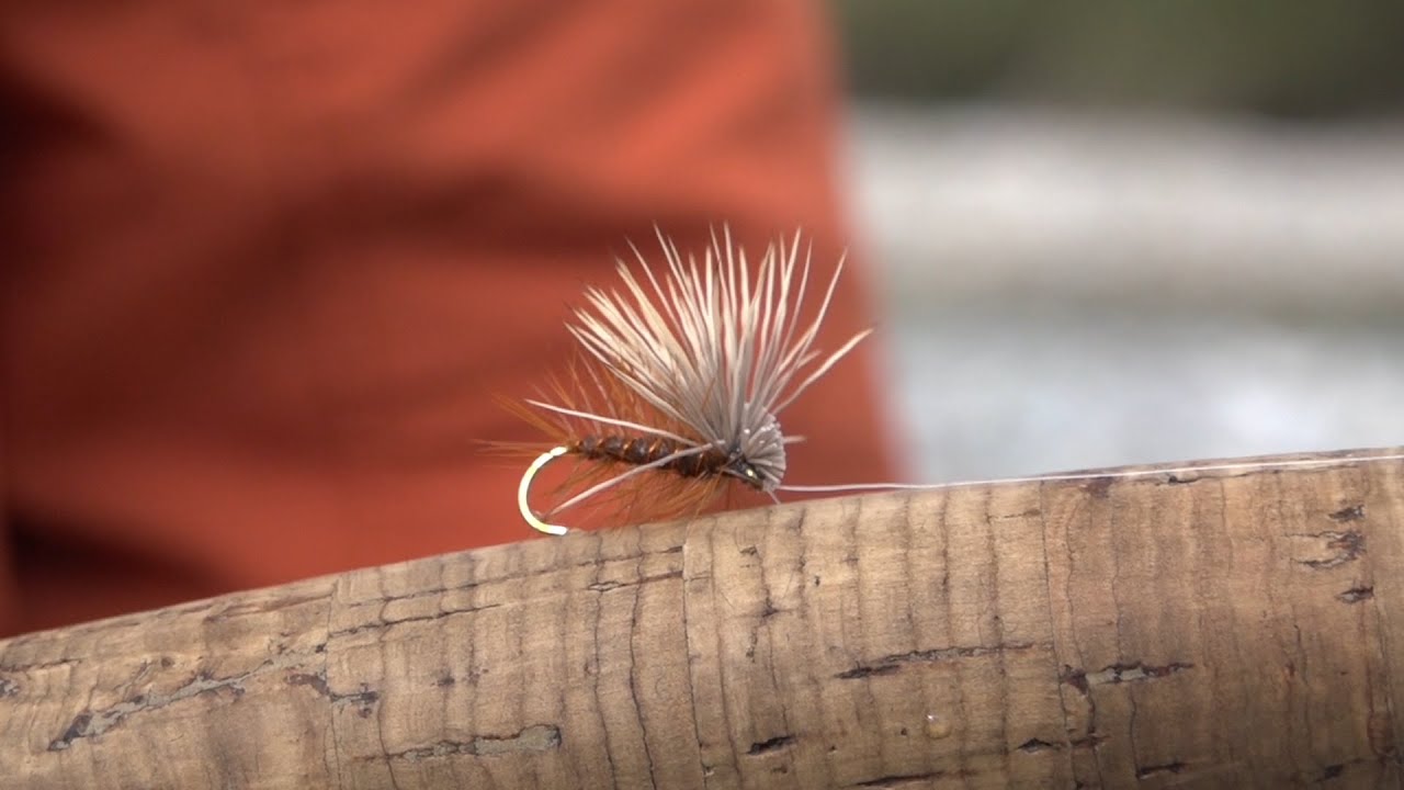 Fly Fishing British Columbia's Wigwam River in Mid September  [Episode # 67]