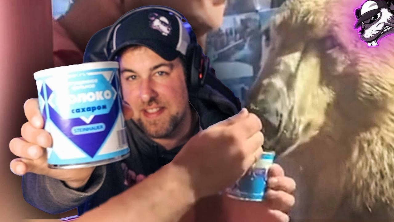 mouzAkrobat reagiert auf 