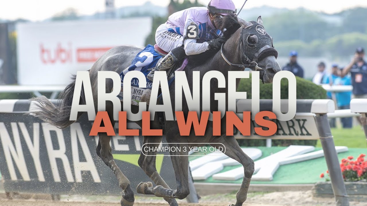 Racehorse Arcangelo: A Chronicle of All His Wins