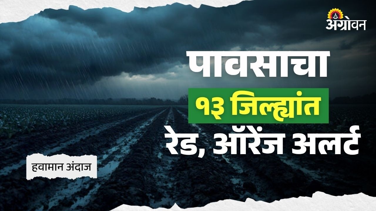 Rain Alert :  कोकण, विदर्भासह मराठवाडा आणि मध्य महाराष्ट्रात पावसाचा अंदाज| Agrowon
