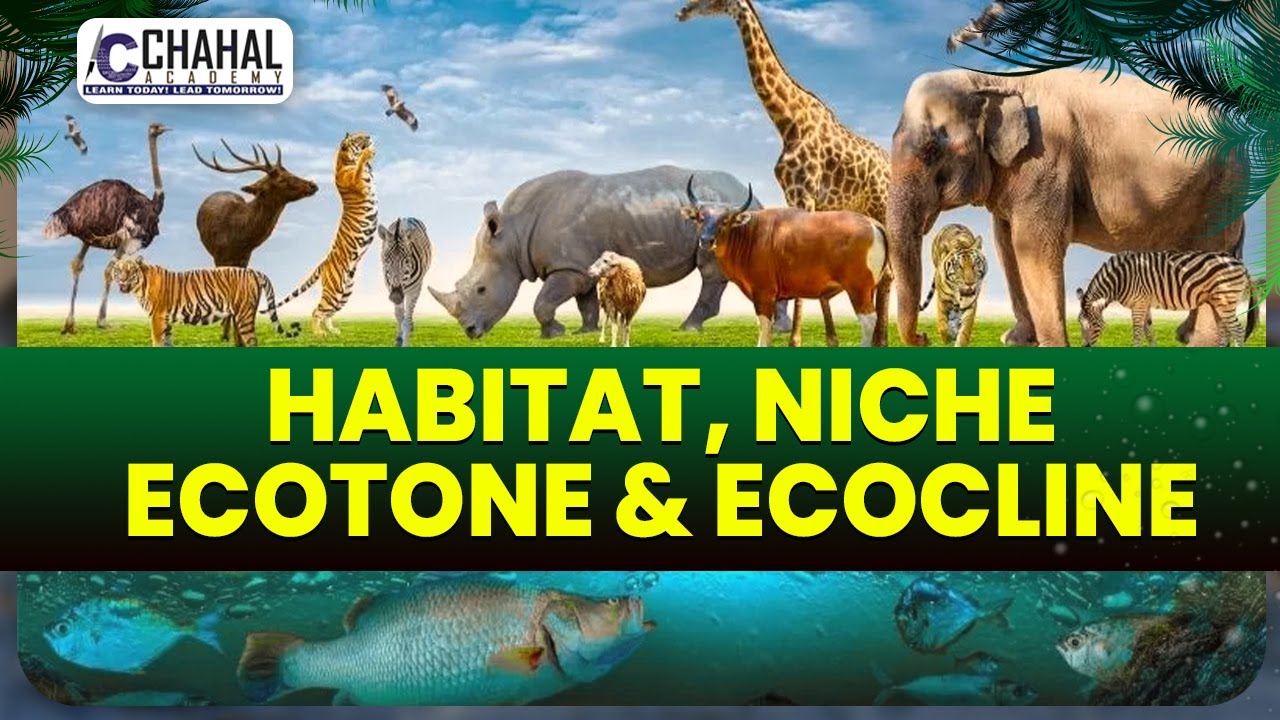 Difference Between Habitat, Niche, Ecotone & Ecocline for IAS/UPSC CSE: Environment Simplified