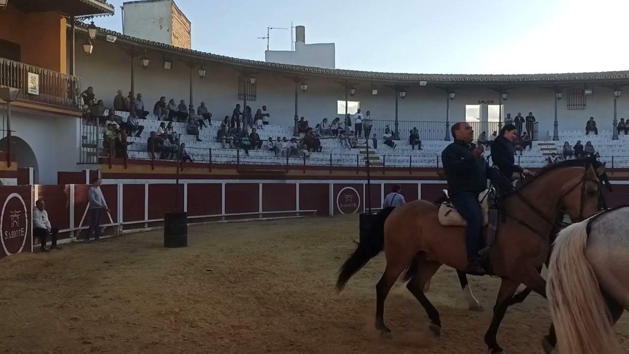 san isidro labrador cinta de caballistas 3 23 - 5 - 2025