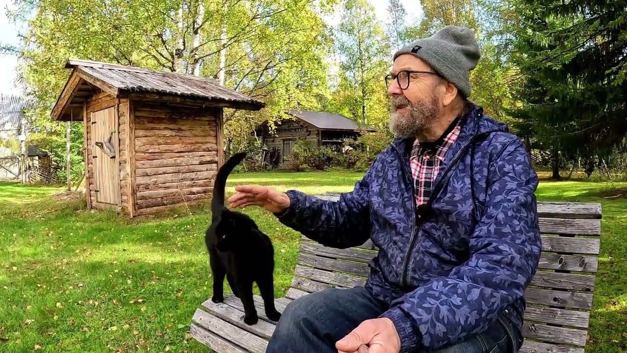 Miisu aikoi  pyytää Ilveksen.