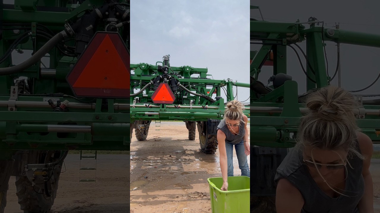 River bottom blues #farm #farming #farmlife #farmher #rfdtv #flooding #farmer #farmersdaughter