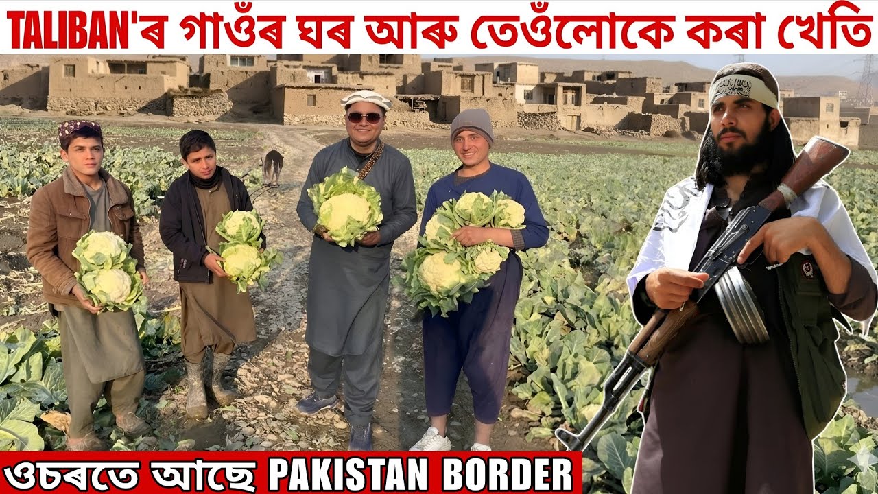 Taliban'ৰ গাওঁৰ ঘৰ আৰু তেওঁলোকে কৰা খেতি. iam in near PAKISTAN Boder/bibek travel and food vlog/  