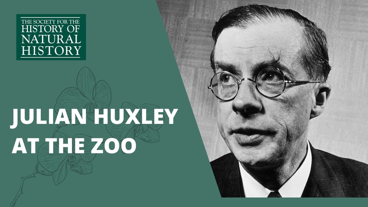 Julian Huxley at the Zoo, 1935&ndash;1942